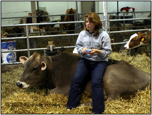 Rest time, Dairy Building