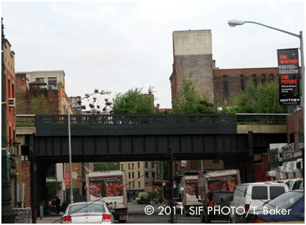 High Line Park, NYC