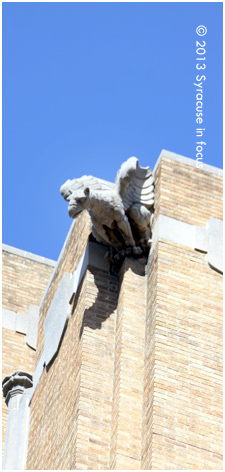 Gargoyle, Hills Building (Downtown Syracuse)