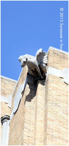 Gargoyle, Hills Building (Downtown Syracuse)