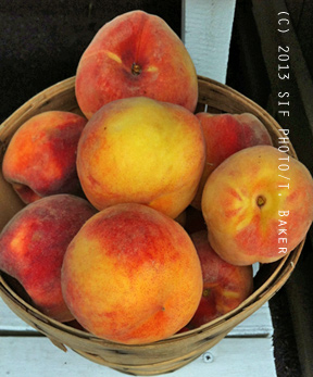 DelMarVa Peaches