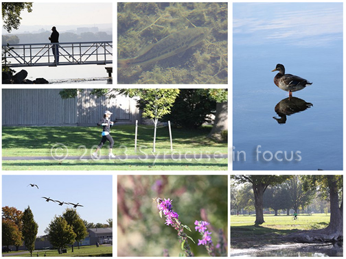 Onondaga Lake becomes a destination and a more healthy ecosystem.