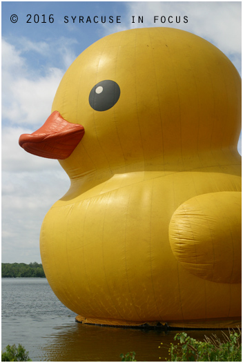 Duck and Cover: Lake Festival, Onondaga Lake