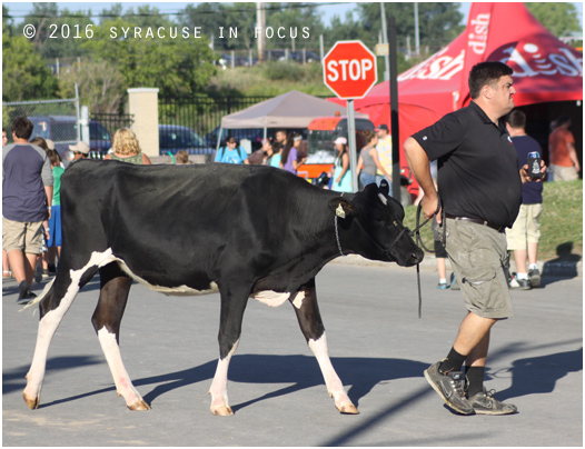 Just Outside the Dairy Building.