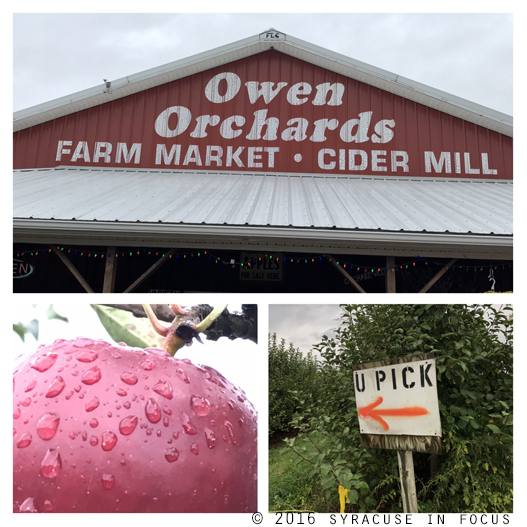 We were told by the growers that Owen Orchards (Weedsport) lost 70 percent of their crop because of a spring frost this year.