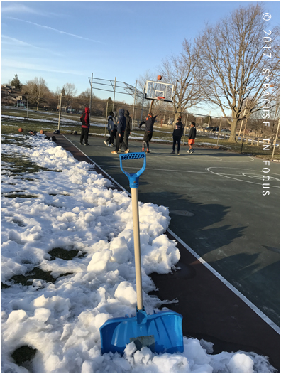 Shovel to Shoot: Barry Park